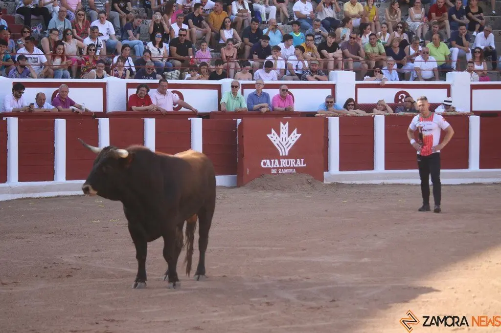 Concurso Nacional de Cortes en Zamora_18