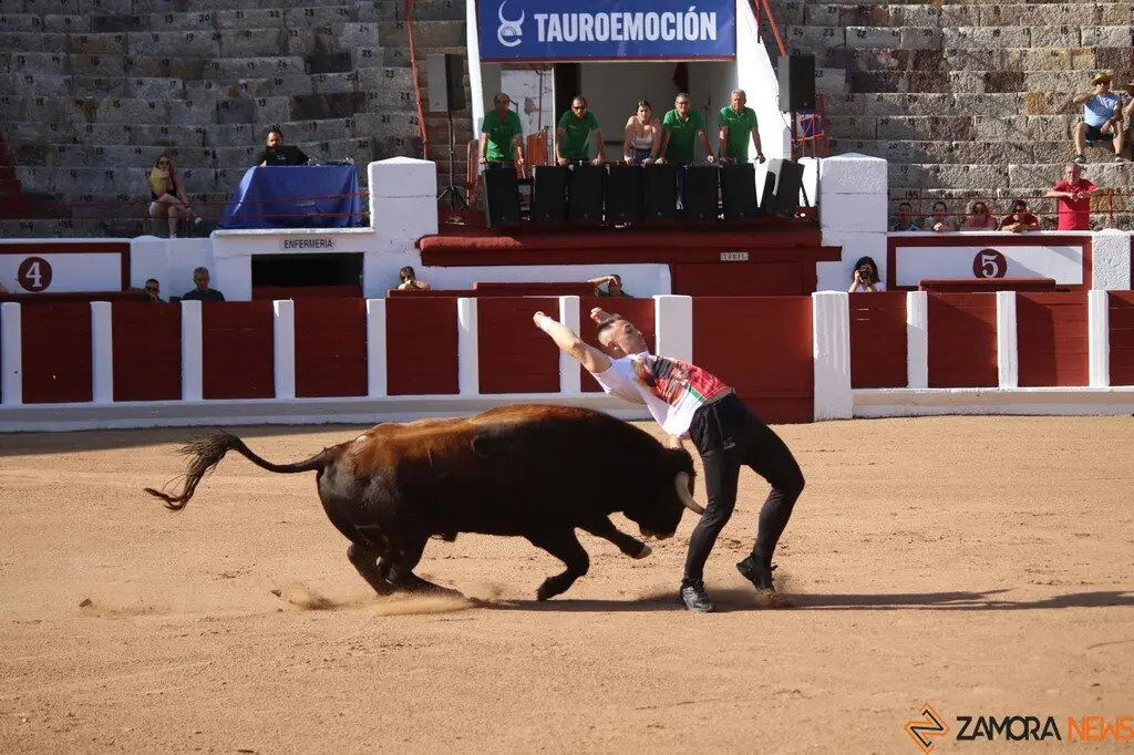 Concurso Nacional de Cortes en Zamora_20