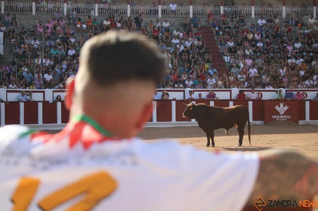 Concurso Nacional de Cortes en Zamora_21