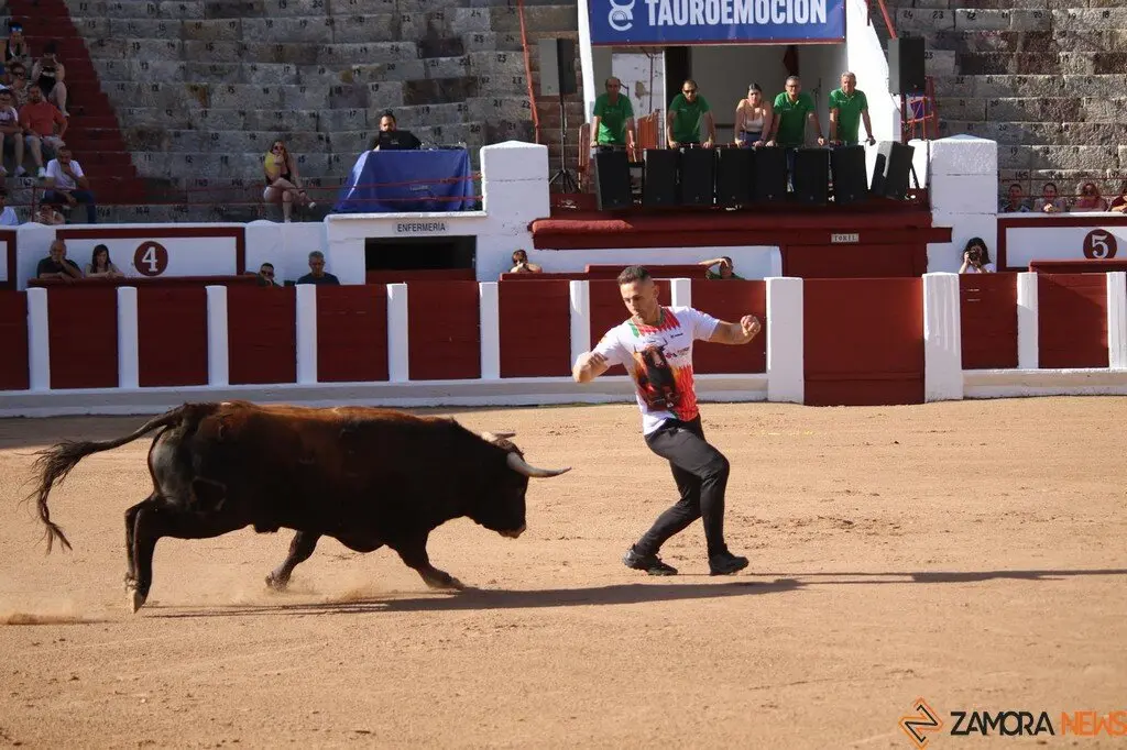 Concurso Nacional de Cortes en Zamora_22