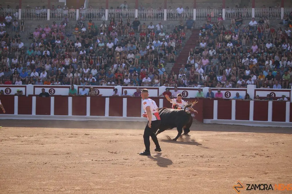 Concurso Nacional de Cortes en Zamora_23