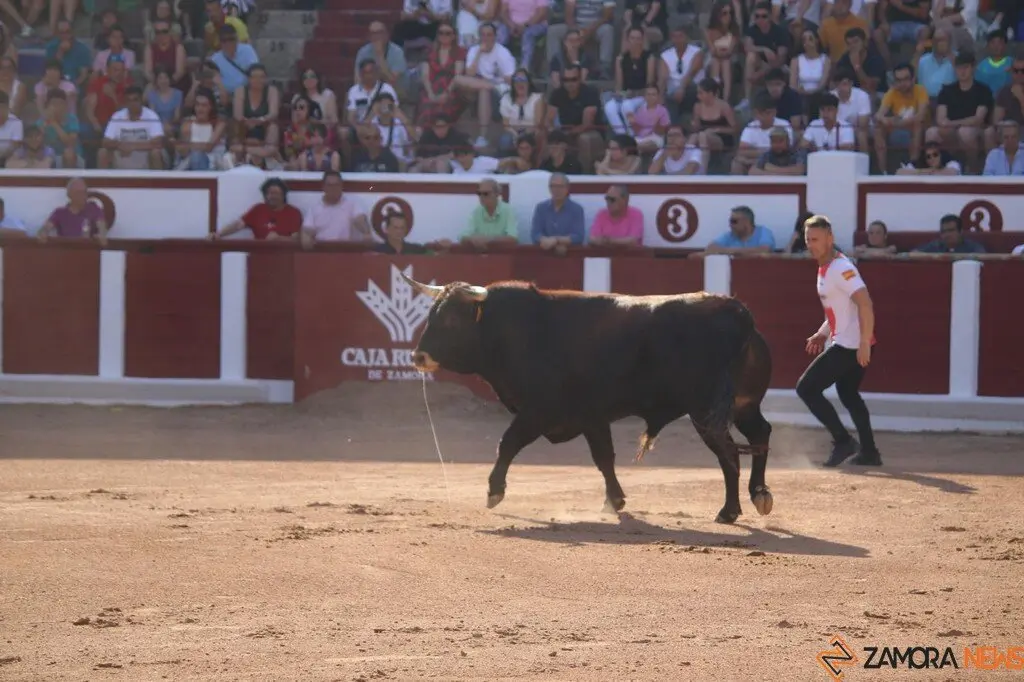 Concurso Nacional de Cortes en Zamora_24