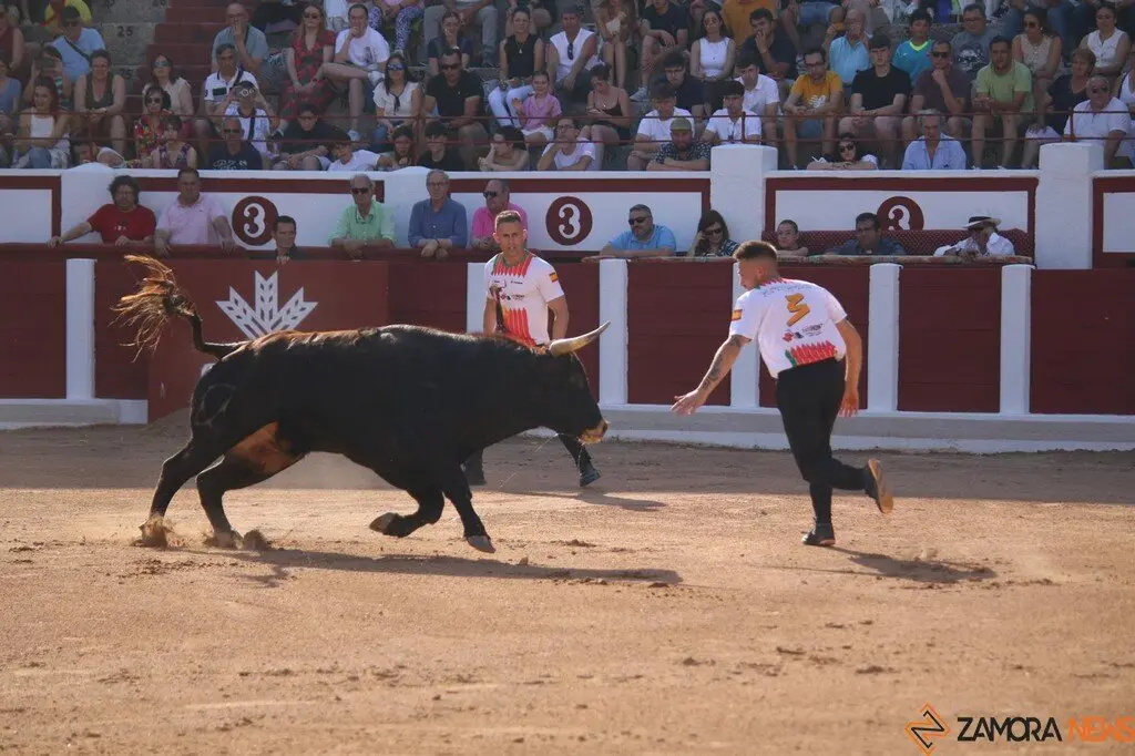 Concurso Nacional de Cortes en Zamora_25