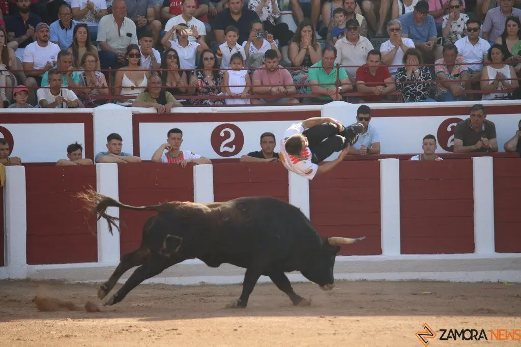 Concurso Nacional de Cortes en Zamora_26