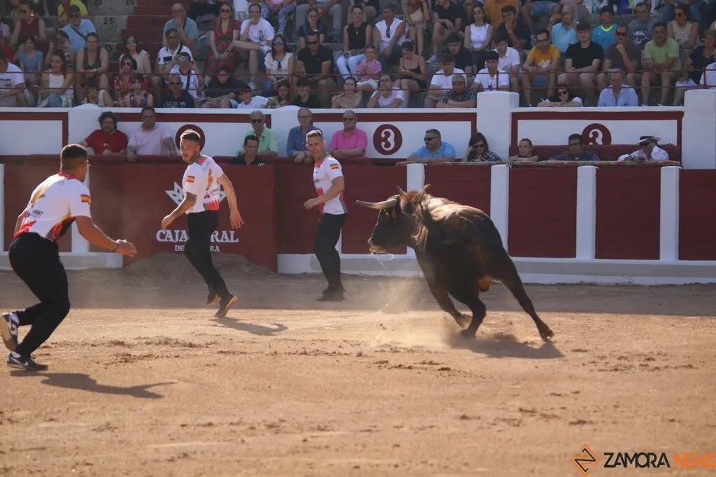 Concurso Nacional de Cortes en Zamora_27