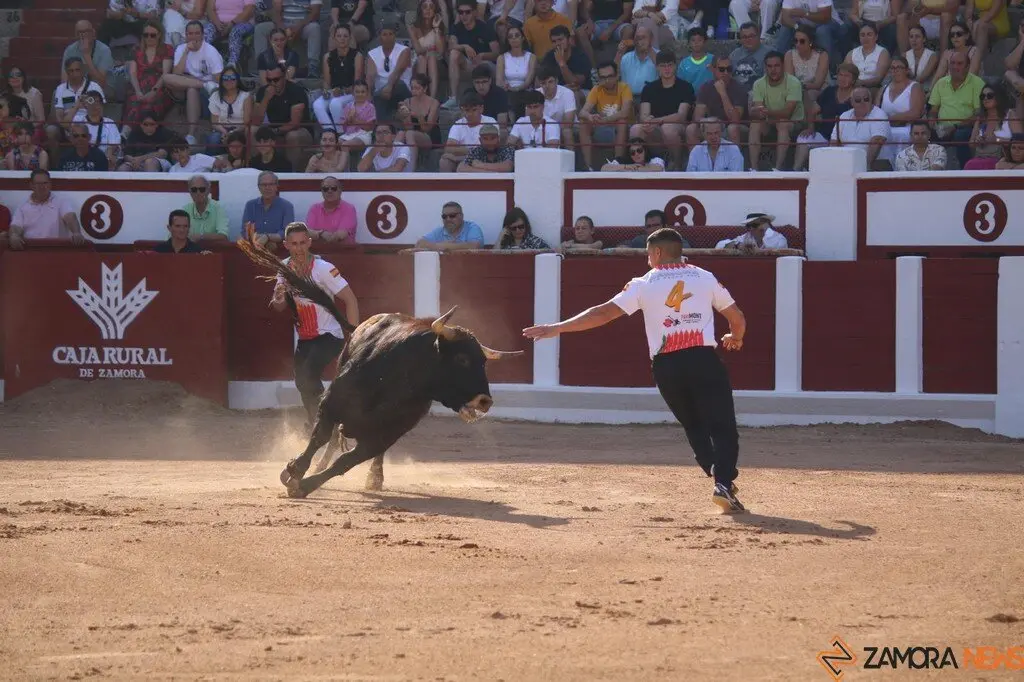 Concurso Nacional de Cortes en Zamora_28