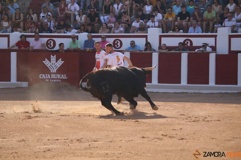 Concurso Nacional de Cortes en Zamora_29