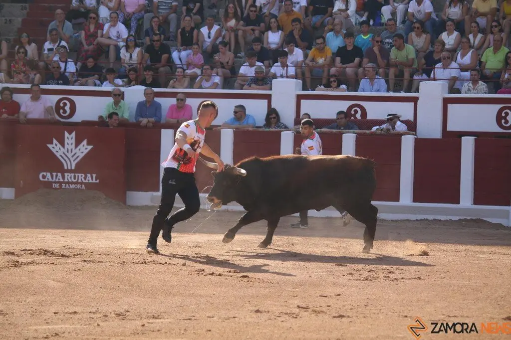Concurso Nacional de Cortes en Zamora_30