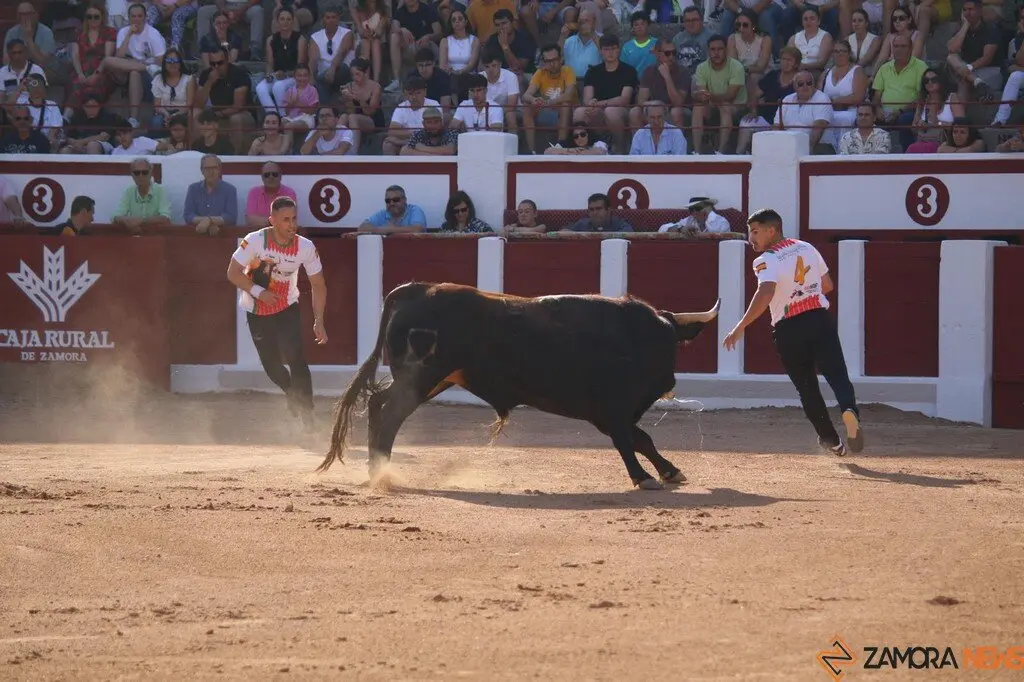 Concurso Nacional de Cortes en Zamora_32