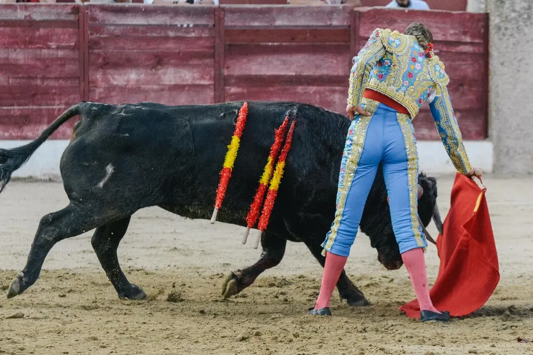 ledesma toros (1)