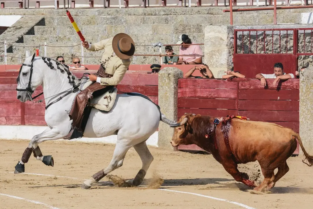 ledesma toros (5)