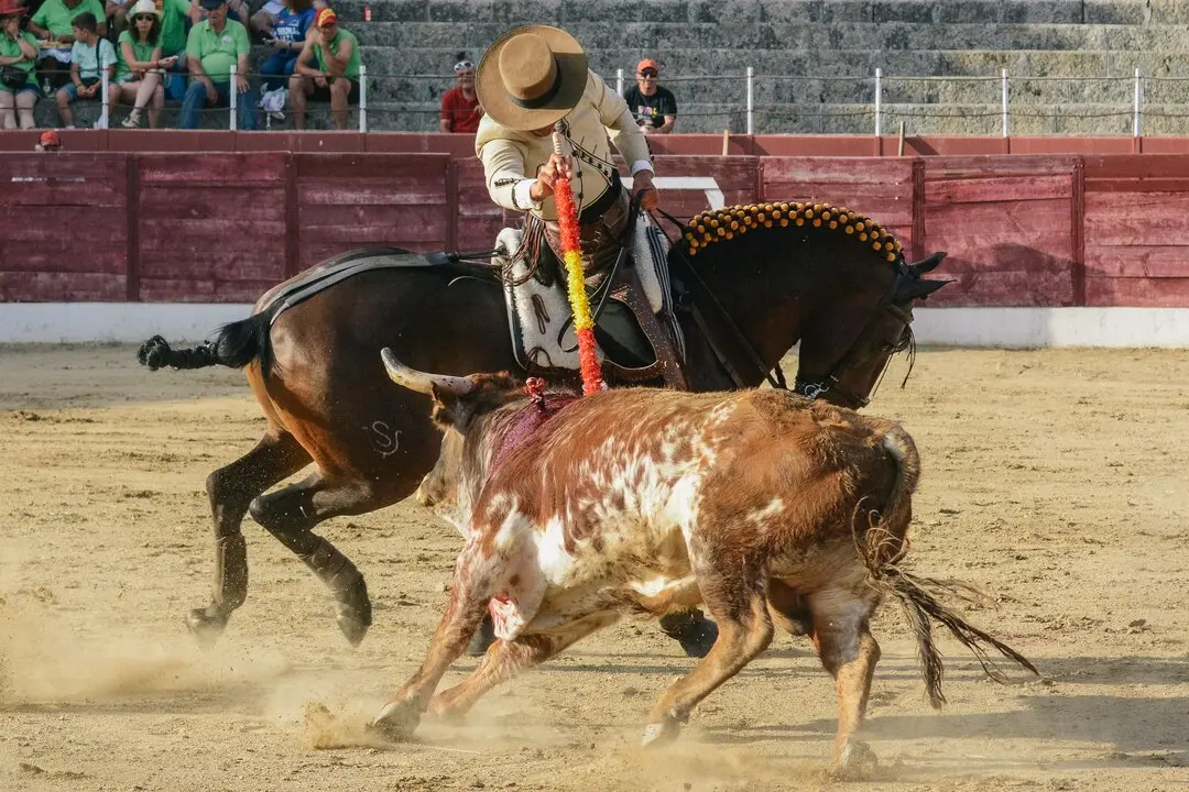 ledesma toros (7)