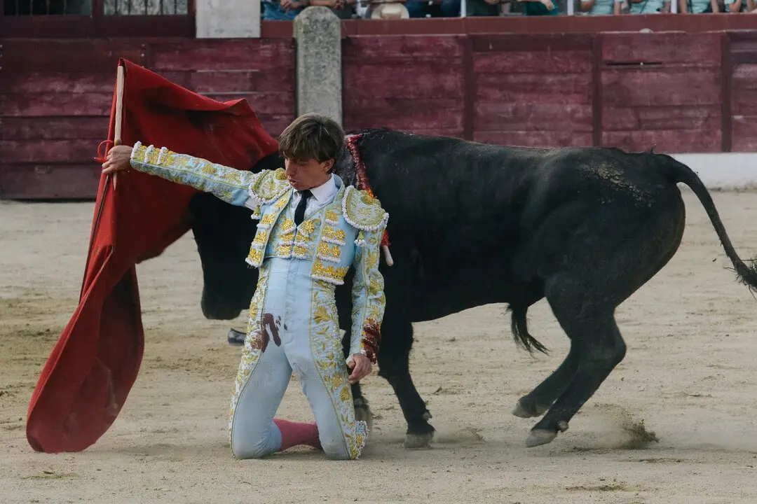 ledesma toros (8)