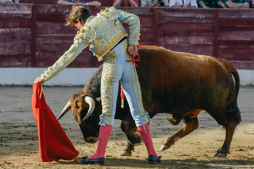 ledesma toros (9)