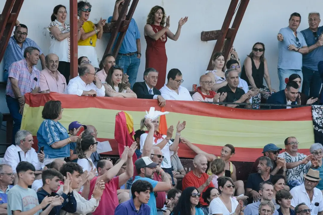 ledesma toros (10)