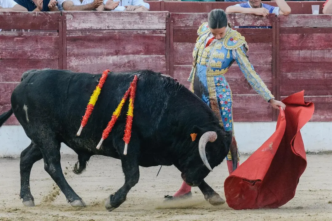 ledesma toros (11)