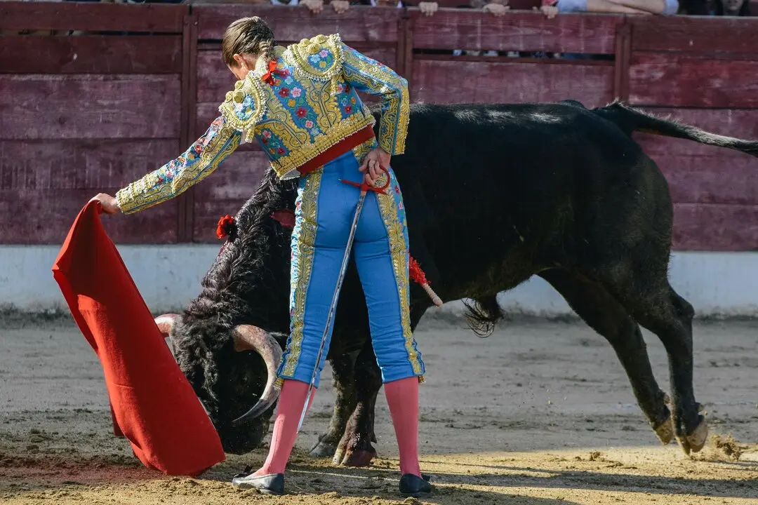ledesma toros (13)