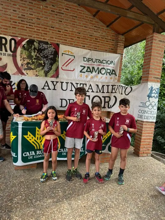 Vino Toro