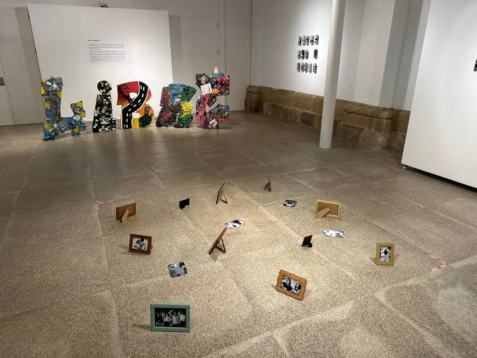Educación de Calle