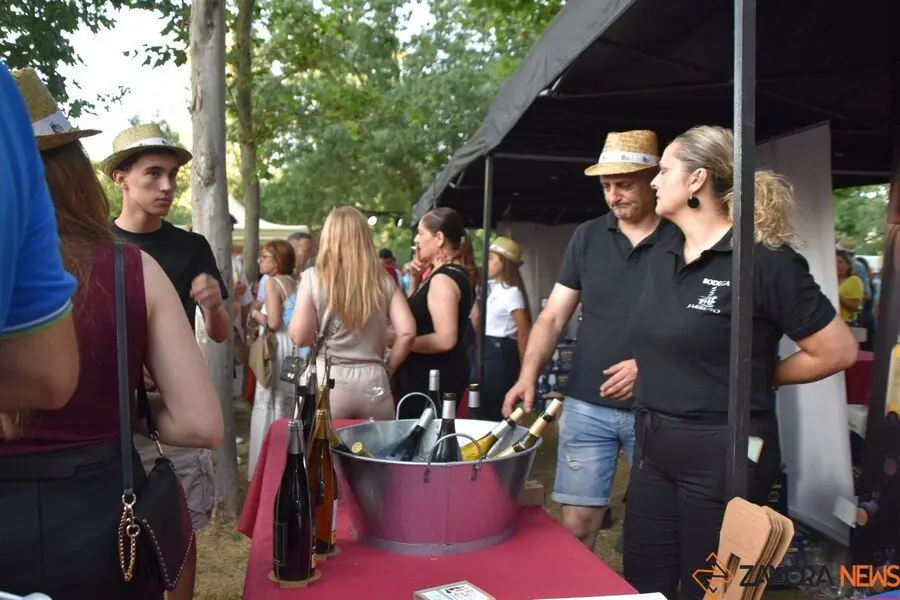 “Descansando en la Ruta del Vino de Zamora_3