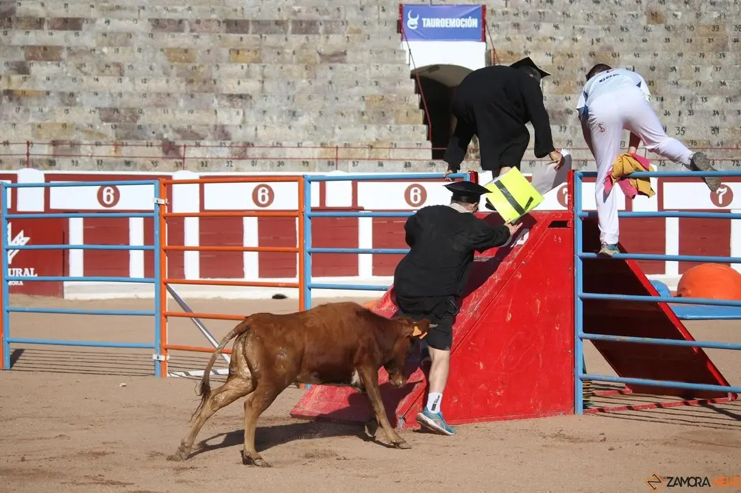 Grand Prix de Peñas