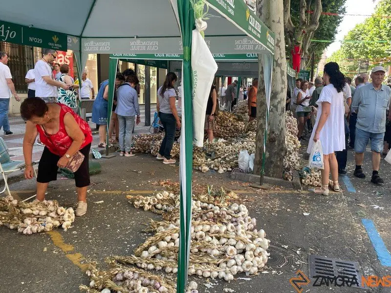 feria del ajo Zamora 2025