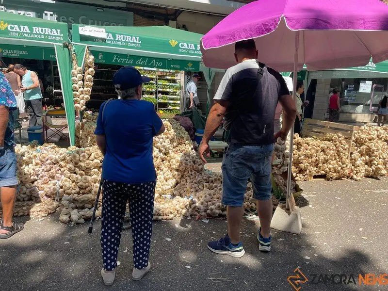 feria del ajo Zamora 2025_4