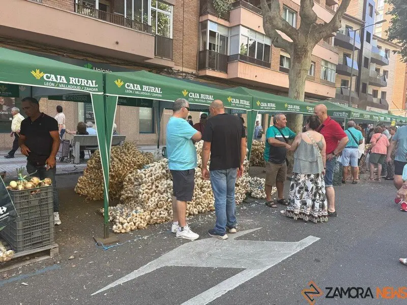 feria del ajo Zamora 2025_7