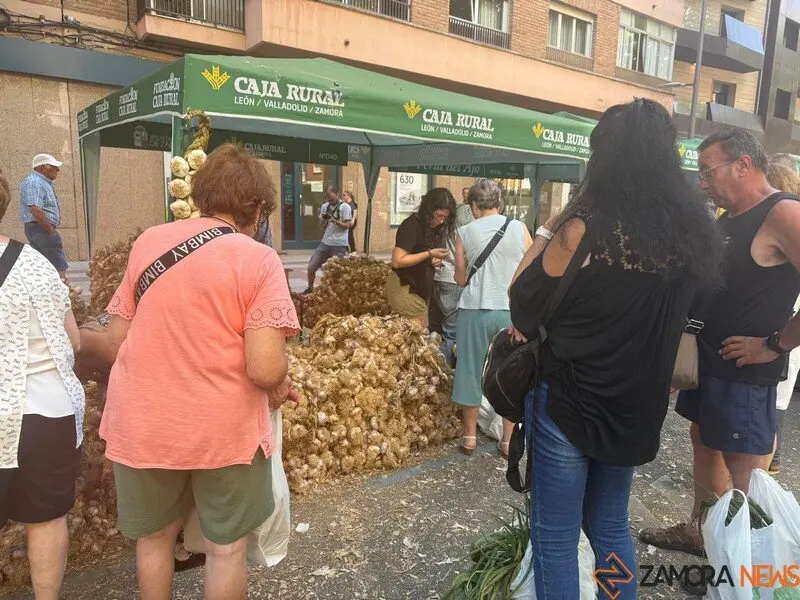 feria del ajo Zamora 2025_8