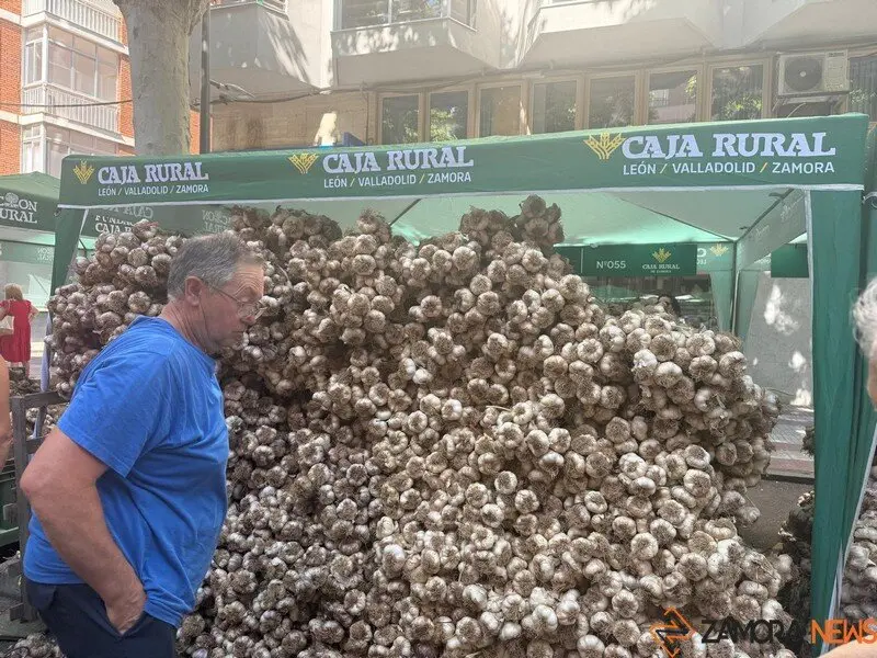 feria del ajo Zamora 2025_9