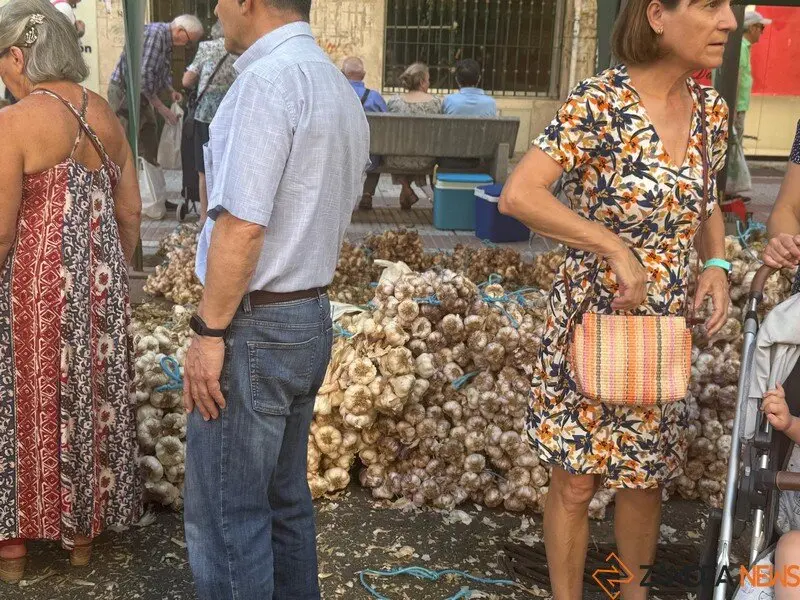 feria del ajo Zamora 2025_12