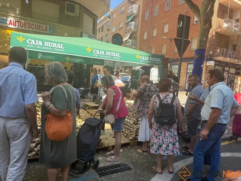 feria del ajo Zamora 2025_14