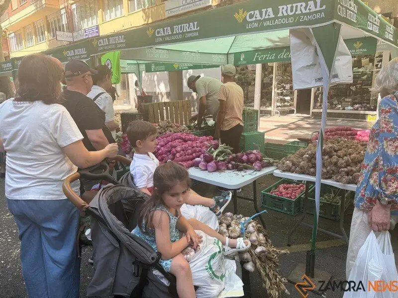 feria del ajo Zamora 2025_15