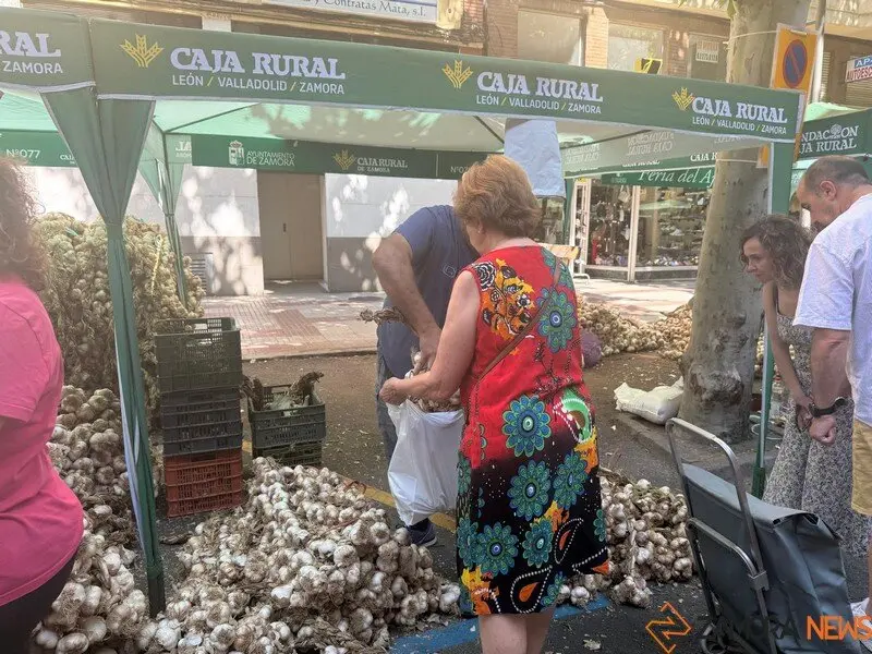 feria del ajo Zamora 2025_16
