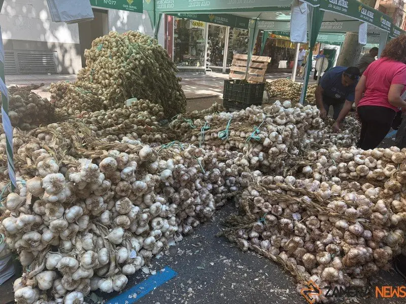 feria del ajo Zamora 2025_17