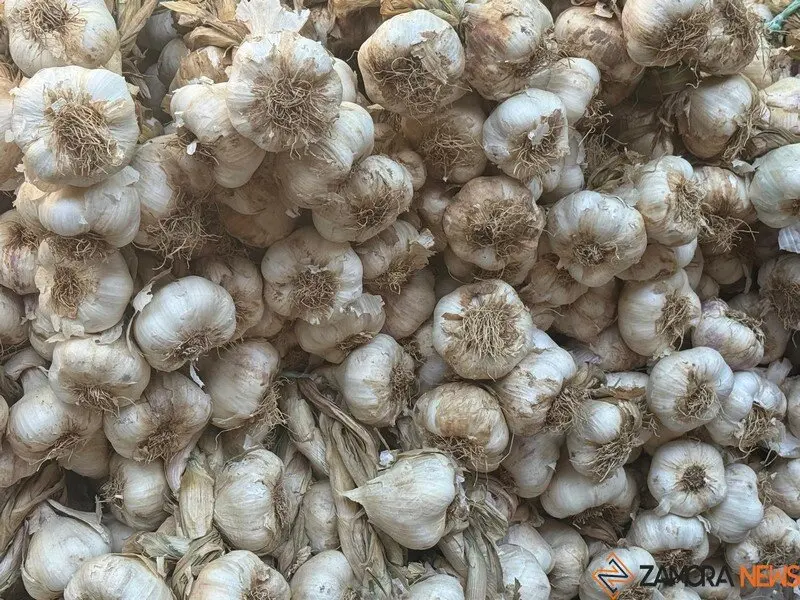 feria del ajo Zamora 2025_18