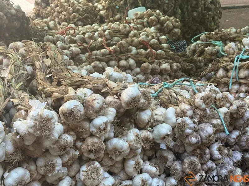 feria del ajo Zamora 2025_19