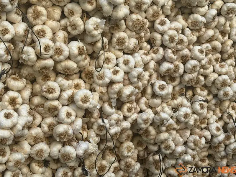 feria del ajo Zamora 2025_20