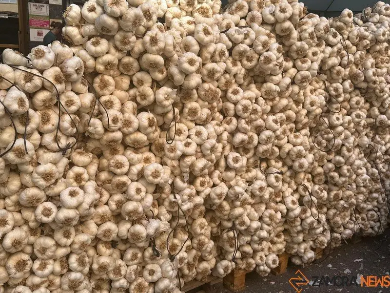 feria del ajo Zamora 2025_21