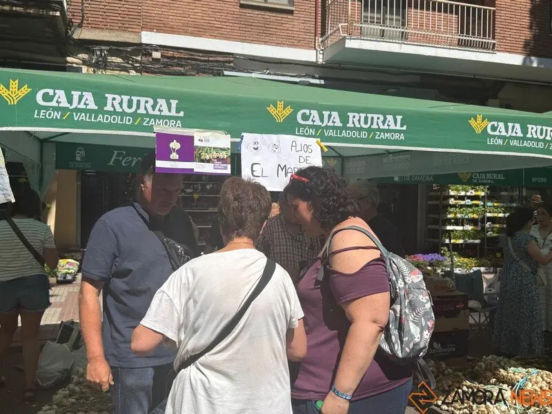 feria del ajo Zamora 2025_22