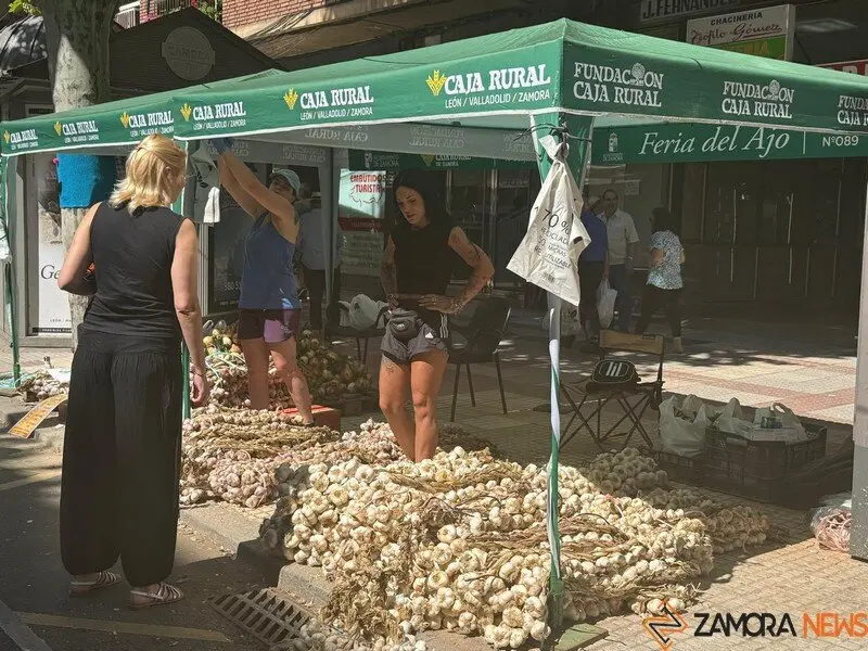 feria del ajo Zamora 2025_23