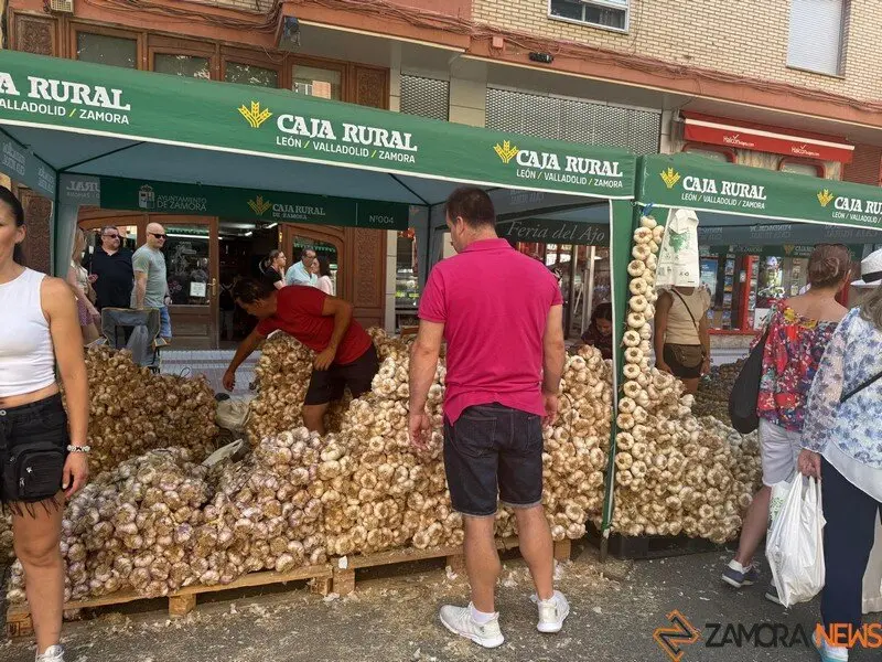feria del ajo Zamora 2025_34