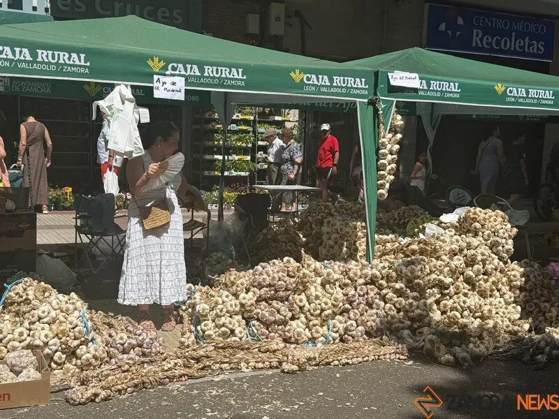 feria del ajo Zamora 2025_35