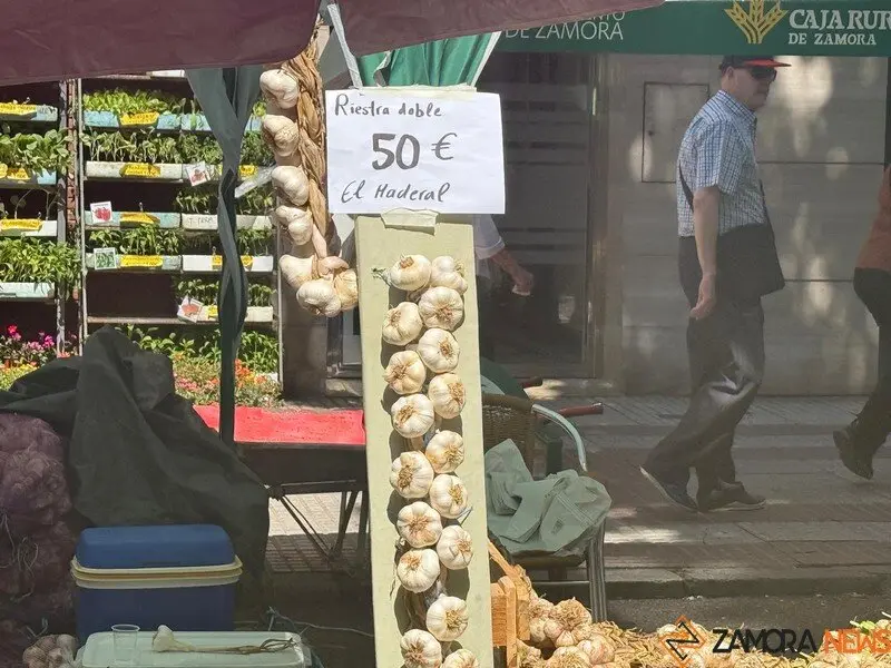 feria del ajo Zamora 2025_36