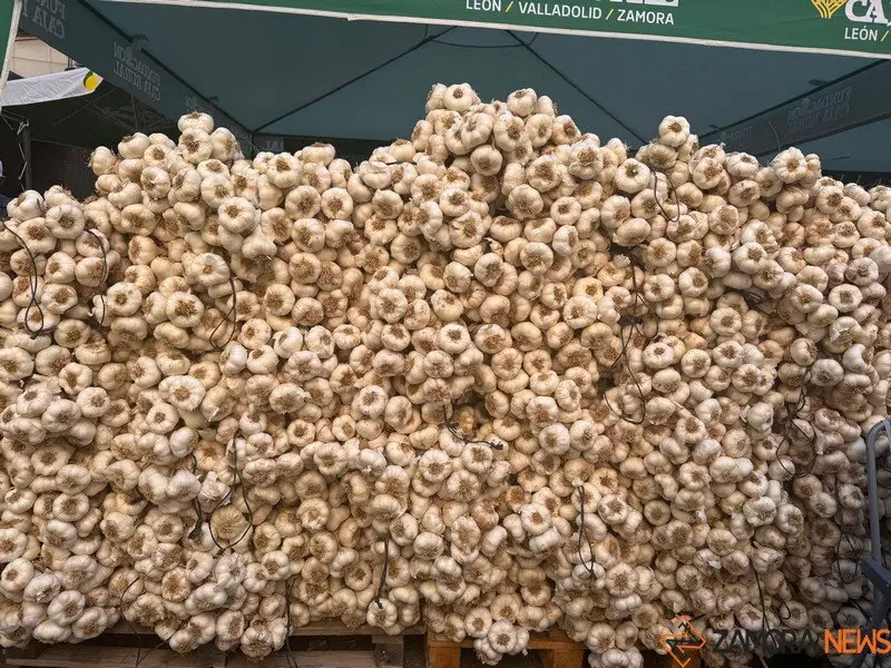 feria del ajo Zamora 2025_38