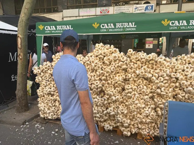 feria del ajo Zamora 2025_39