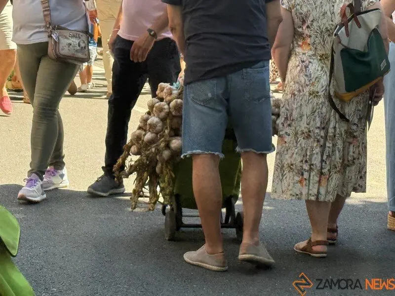 feria del ajo Zamora 2025_42