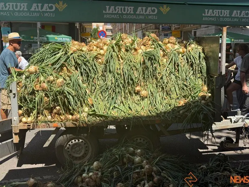 feria del ajo Zamora 2025_45