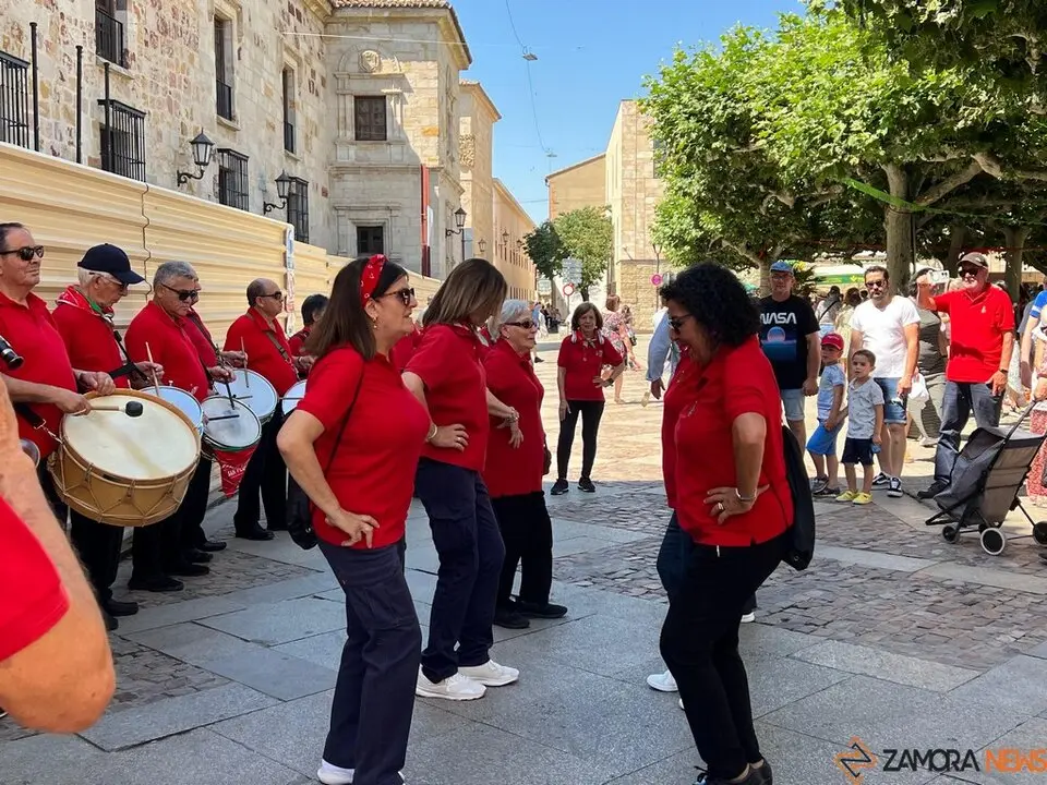 Pasacalles Folklore Tradymupo_5