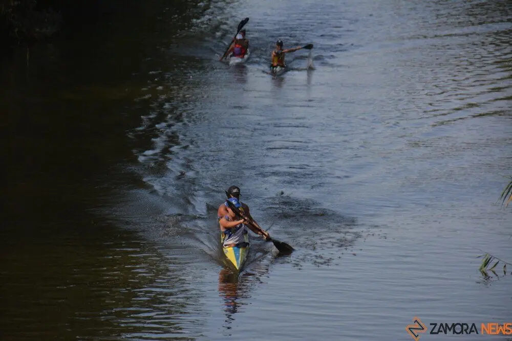toros  y piraguas _28